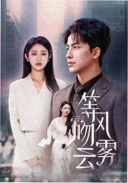雾港谜案 悬疑剧免费完整版在线观看